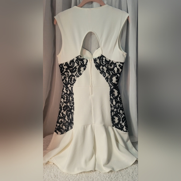 Chic Cream and Black Lace Dress - Picture 3 of 3